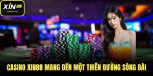 casino xin88