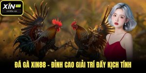 da ga xin88