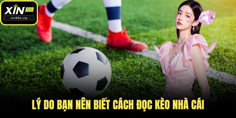 Cách Đọc Kèo Nhà Cái - Bí Kíp Cho Tân Thủ Tại Nhà Cái Xin88 Lý do bạn nên biết cách đọc kèo nhà cái